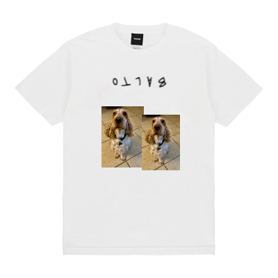 Design Image 0