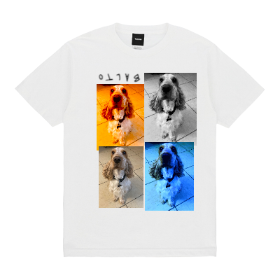  Design Image 0