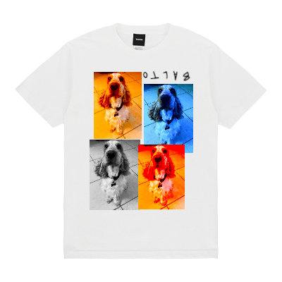  Design Image 0