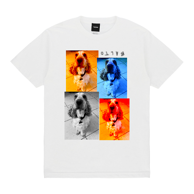  Design Image 0