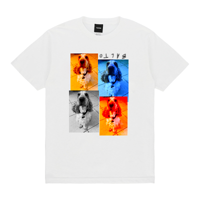  Design Image 0